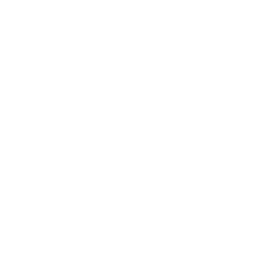 BIMI Logo